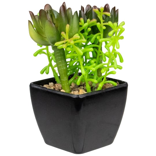 6" Potted Green Succulent Arrangement